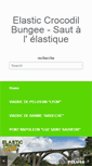 Mobile Screenshot of elasticcrocodilbungee.com